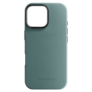 #color_green slate #model_iphone 16 pro max